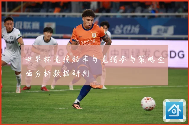 世界杯竞猜赔率与竞猜参与策略全面分析数据研判