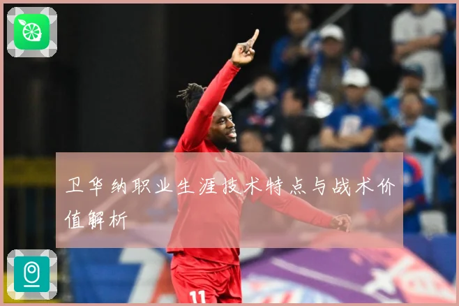 卫华纳职业生涯技术特点与战术价值解析