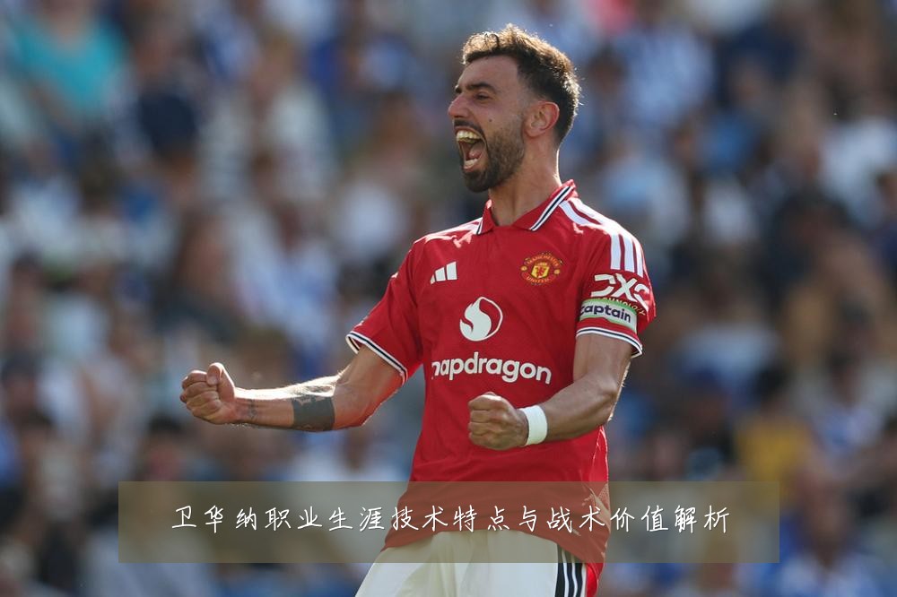 卫华纳职业生涯技术特点与战术价值解析
